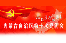 内蒙古自治区第十次党代会
